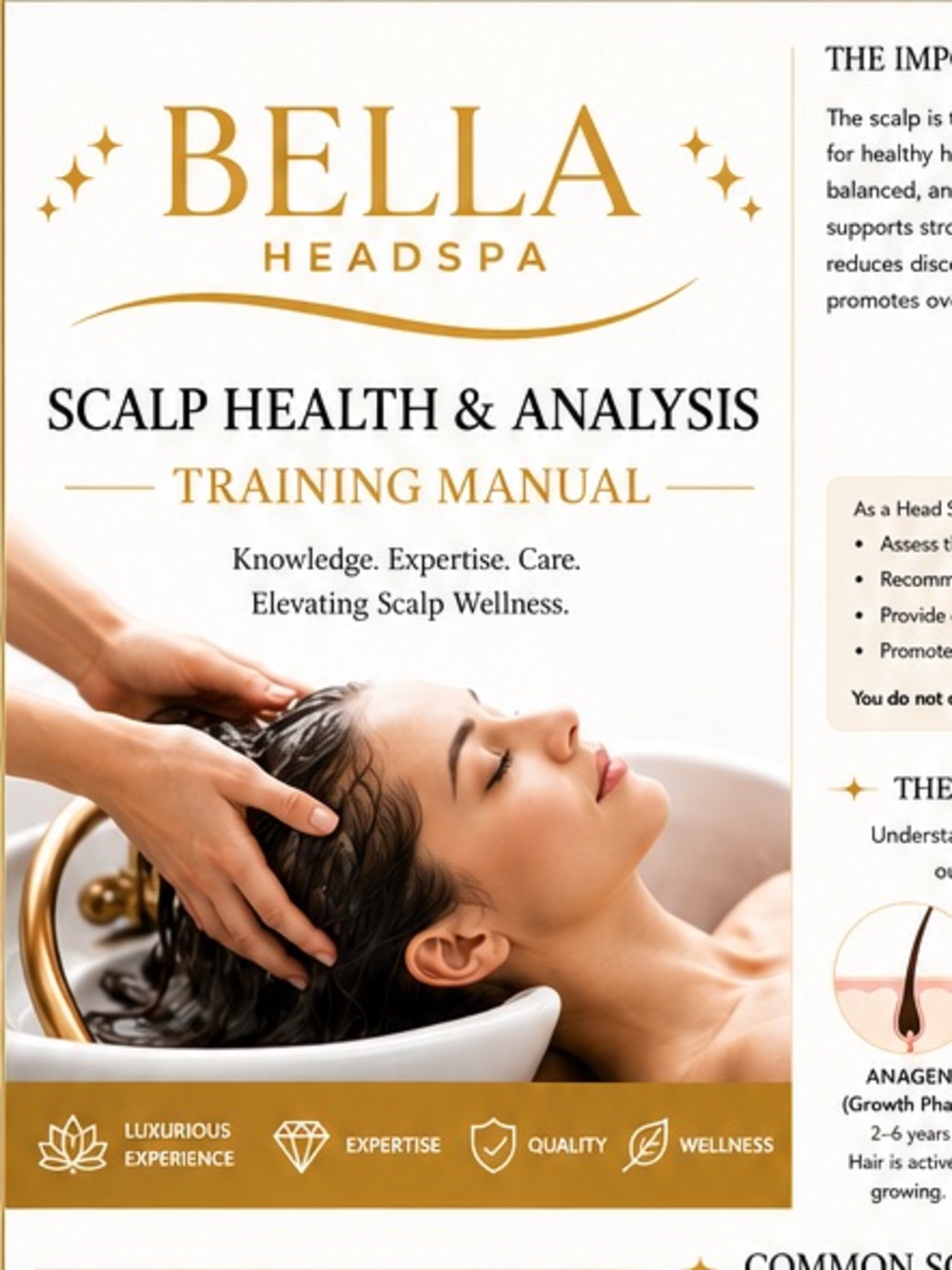 Scalp Health & Analysis Training guide - White & Gold Digital